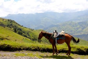 The valleys in this area are now mostly cleared for farmland.