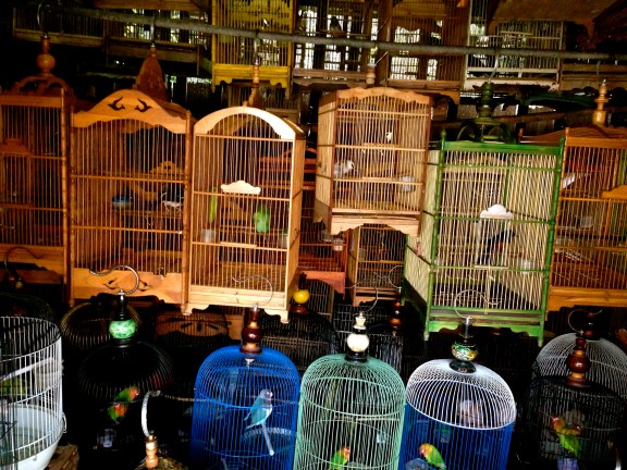 At Jakarta Bird Market