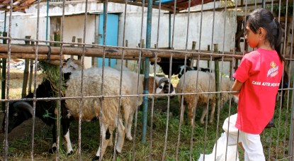 As animals flood the cities' empty lots they draw many on-lookers.