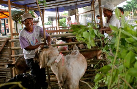 Just a few days befor Eid-ul-Adha, this man was asking for over $400 for this one goat.