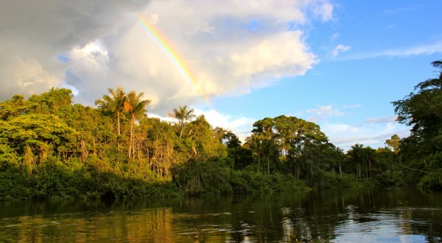 Ecuador's Cuyabeno Wildlife Reserve is the second largest park in Ecuador with nearly 1.5 million acres of natural forest, it is also home to three indigenous tribes. (Photo: Bruno, 2012)