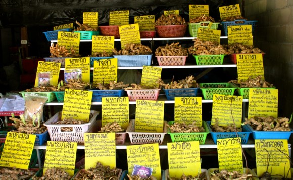 In rural Thailand roots, foraged from nearby forests are vital for food and medicine.